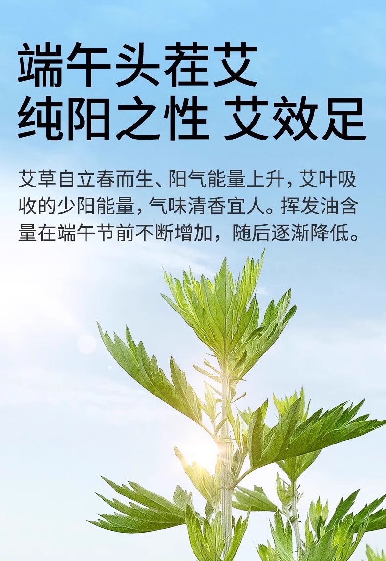 艾草叶