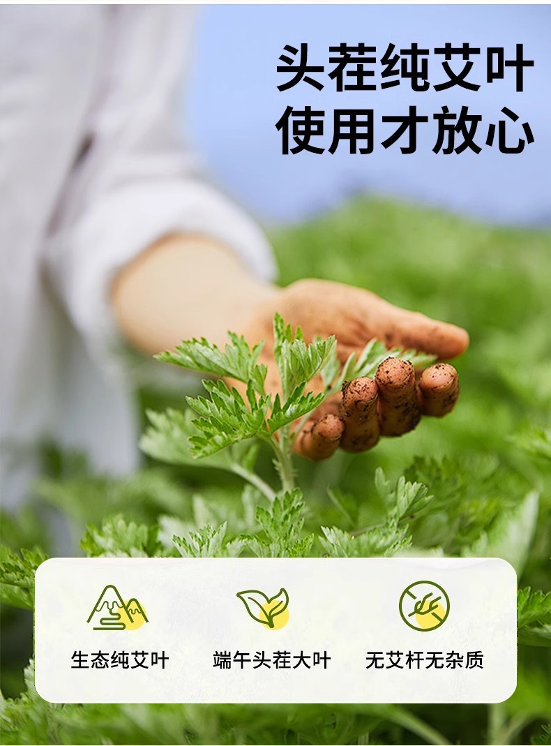 艾草叶