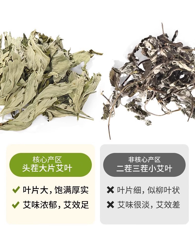 艾草叶
