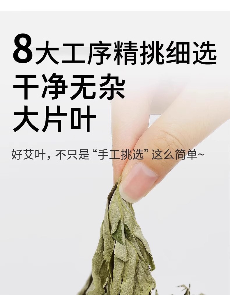 艾草叶
