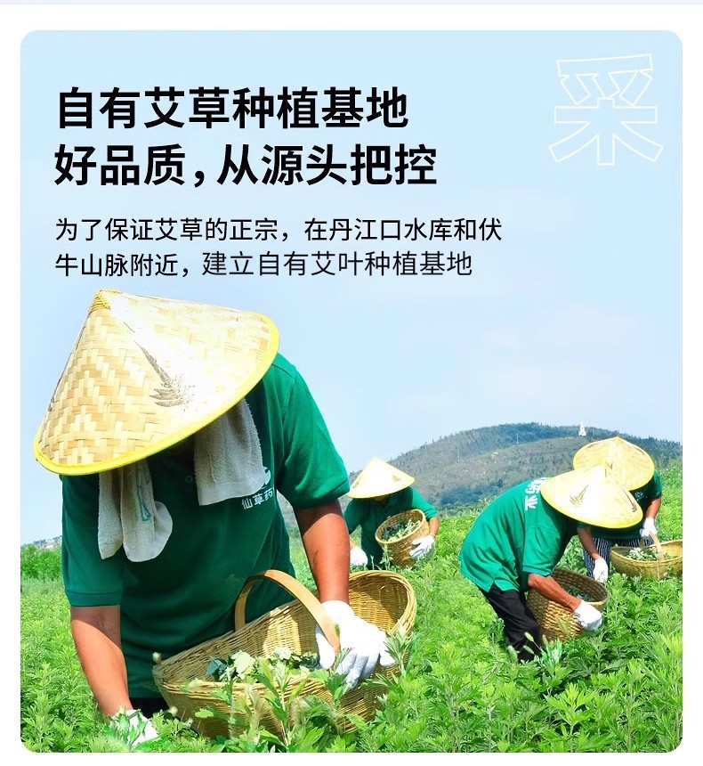 艾草叶