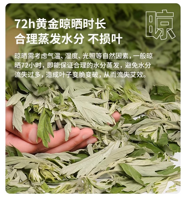 艾草叶
