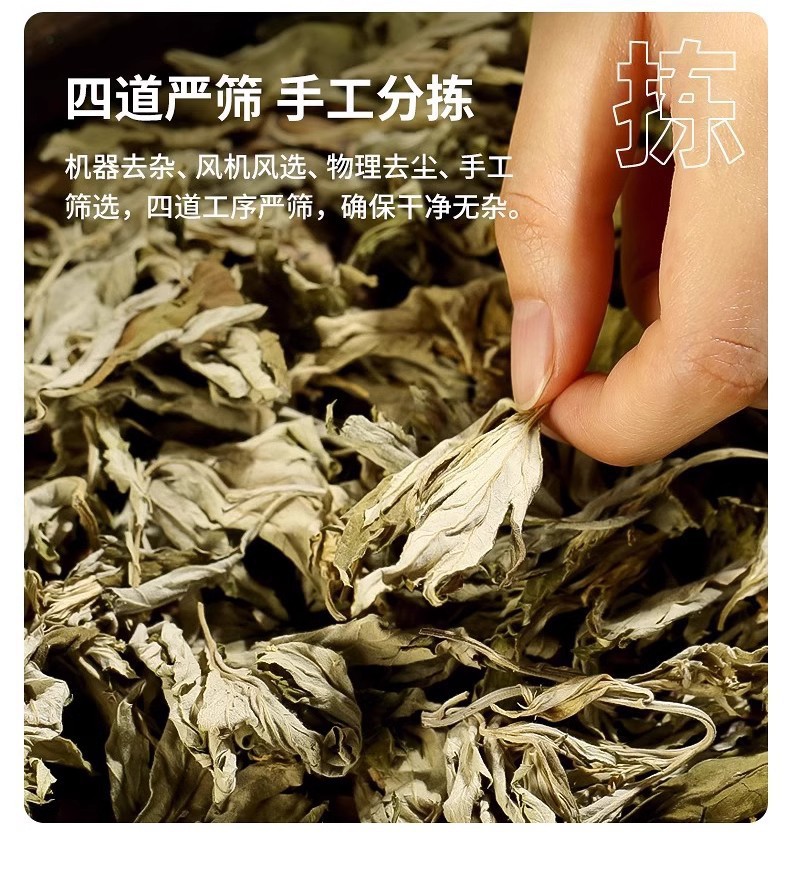 艾草叶
