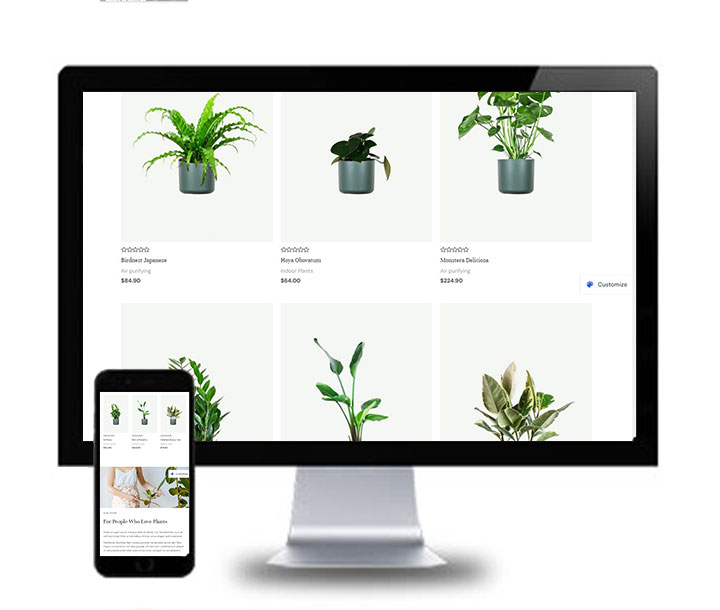 花草植物景观盆栽外贸独立站Plant Shop主题